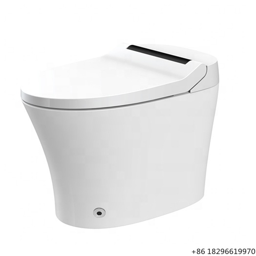 Home Bathroom Ware - Easy Installation Electric Bidet Smart Seat