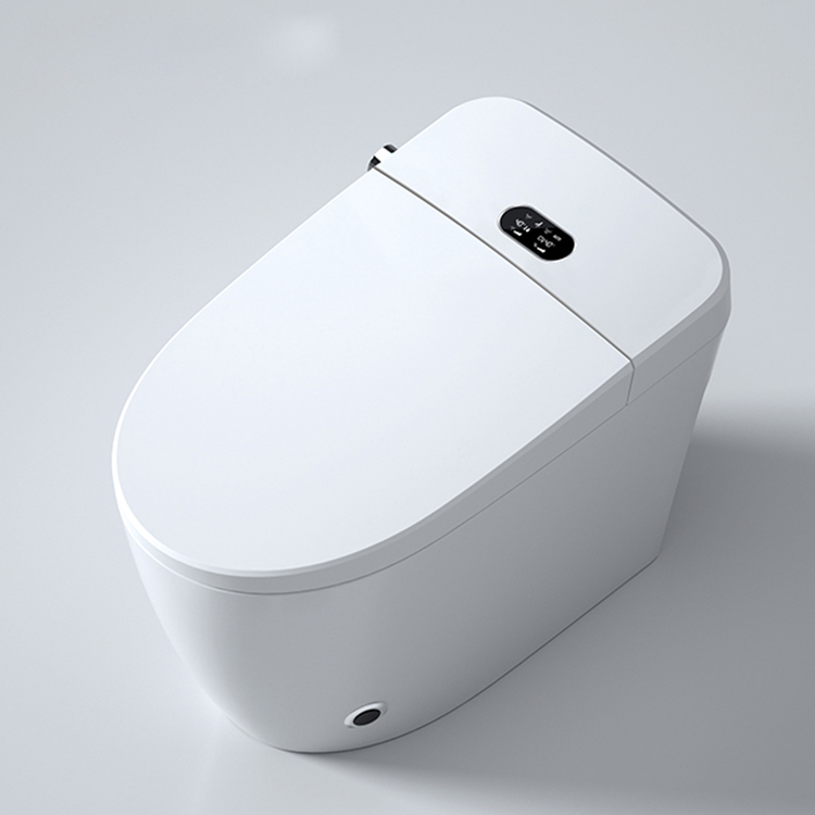 Modern Smart Toilet Digital Di - Home Bathroom Ware 评论和价格