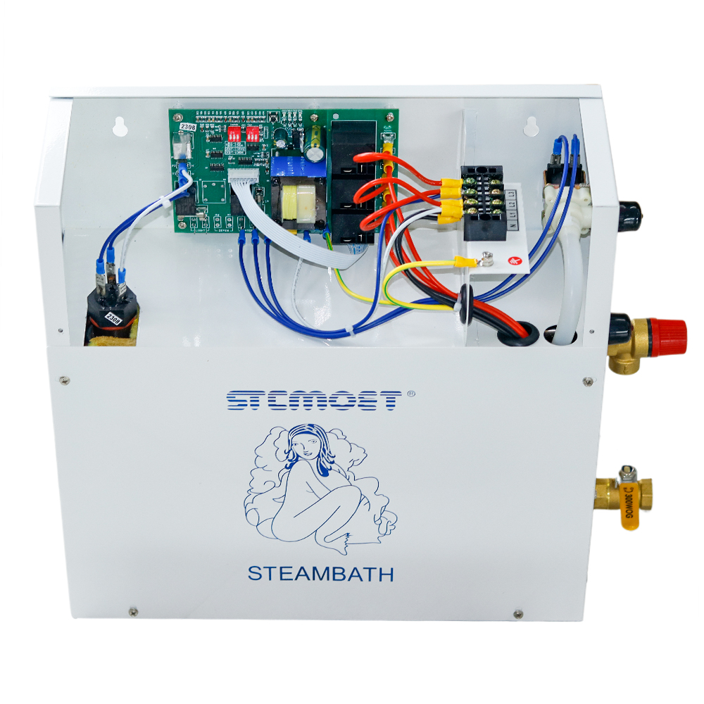 Steam Generator 220V/380V Home - Home Bathroom Sauna 评论和价格