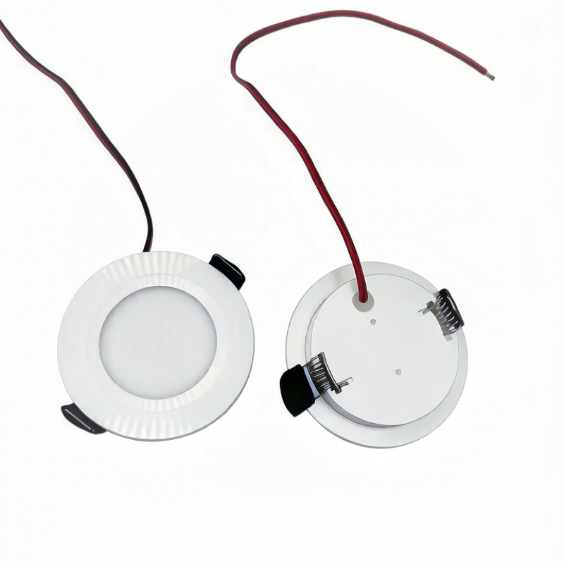 DC 12V LED small ceiling lamp. - Home Bathroom Sauna 评论和价格